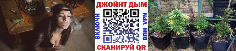 KRAKEN   Лермонтов  Канабис Ganja 